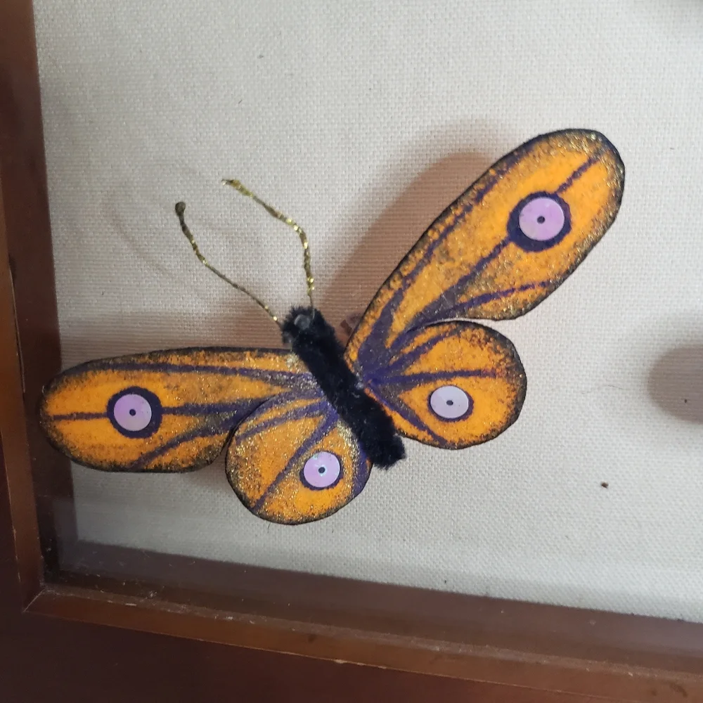 Butterflies arranged in a shadow box. 214